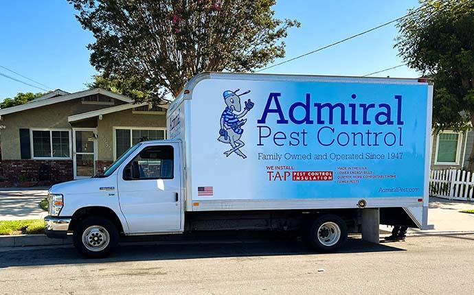 Rodent Control & Removal Services