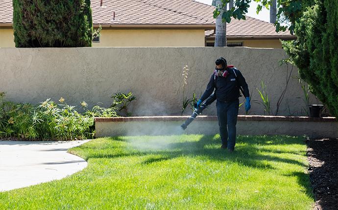 man in pest control uniform performing a mosquito fogging service