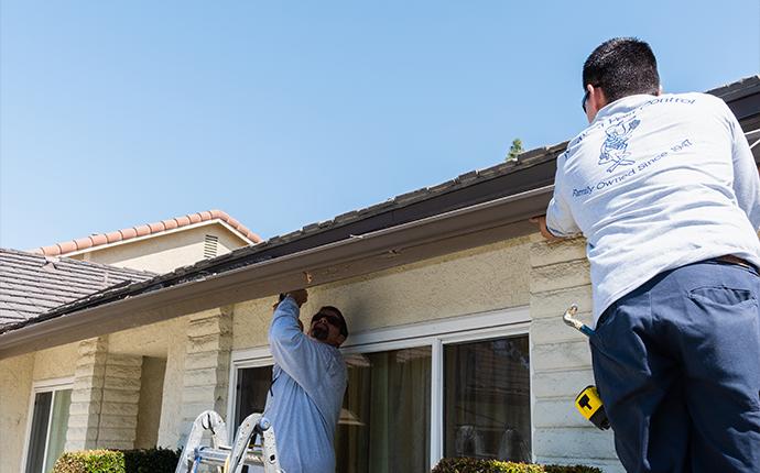 technician repairing termite damage on house