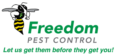 pest control essex