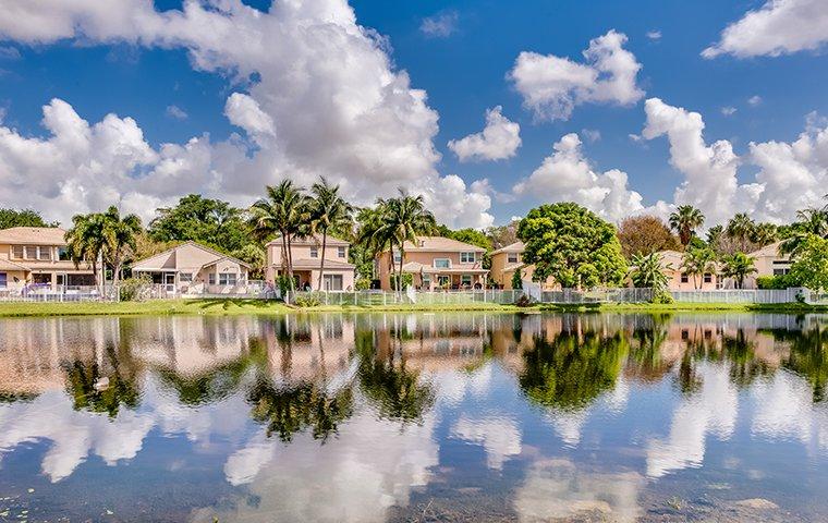 a view from across the water of homes in wesley chapel florida