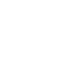 commercial pest control icon