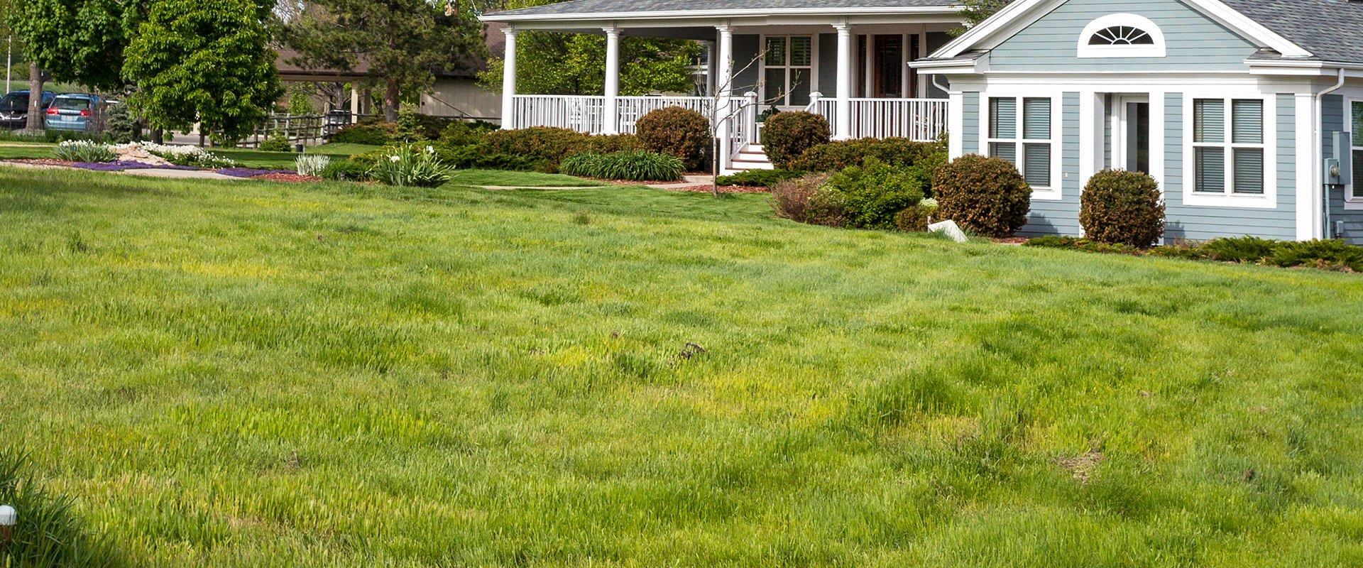 houses with a big yard