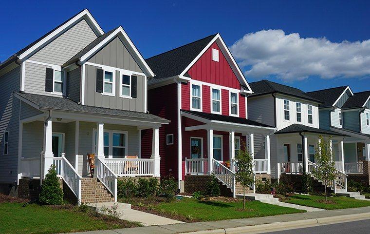 a neighborhood of pest free homes in lafayette colorado
