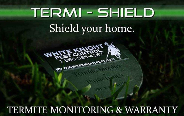 termi shield termite monitoring