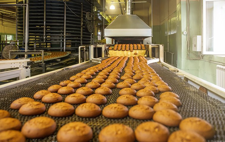 cookies on a conveyer belt