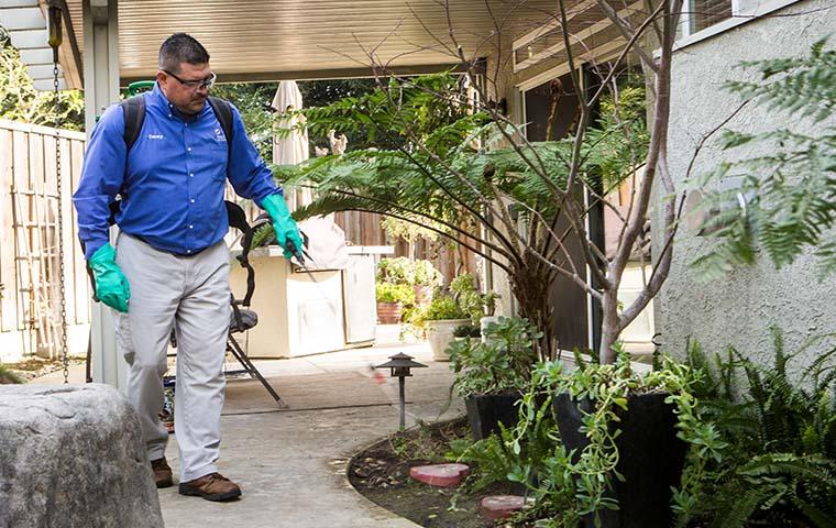 a pest technician performing an exterior treatment at a home in modesto california