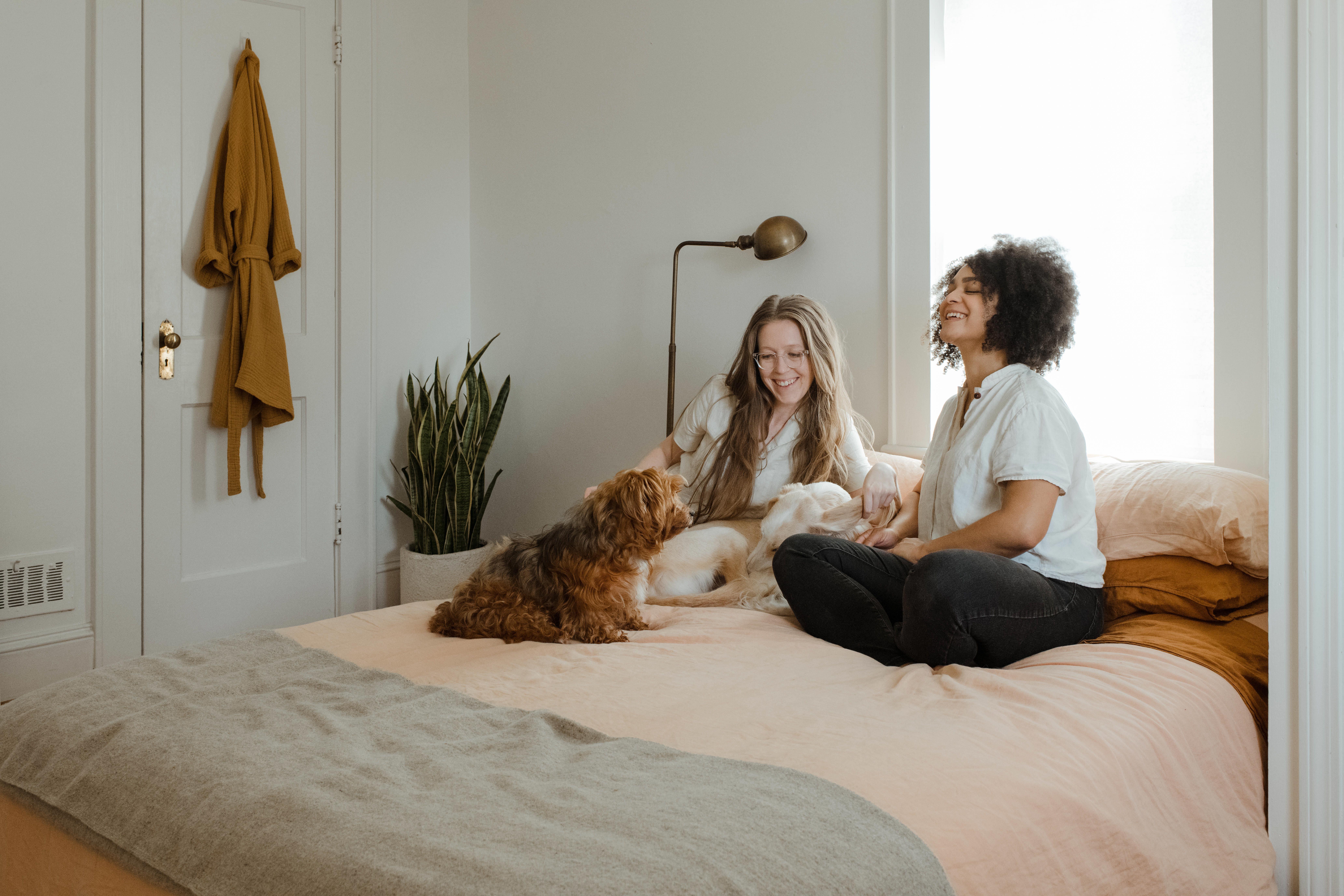 women-petting-dog-on-bed