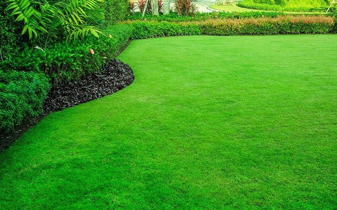 landscaped green lawn protected by pest control