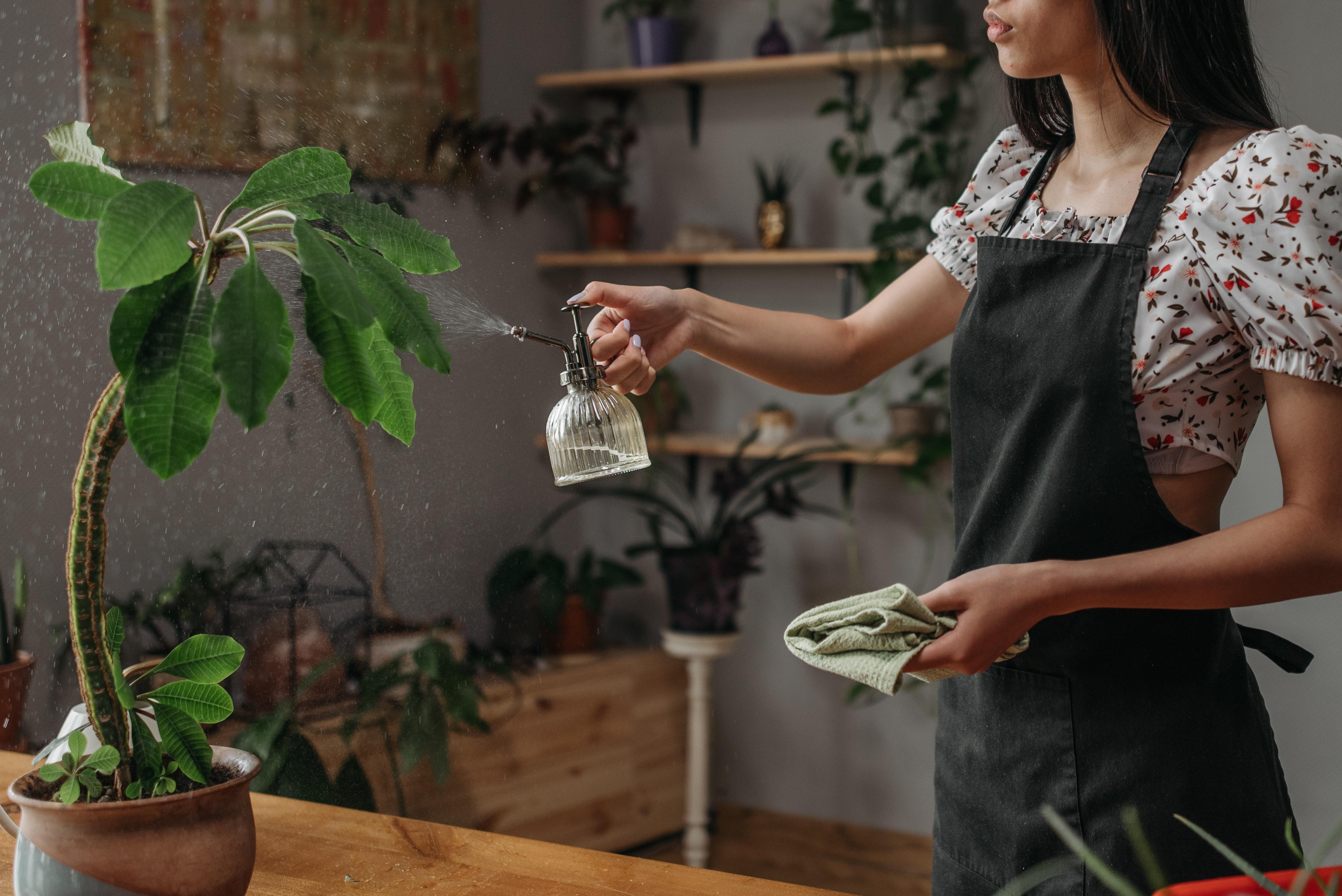 lady watering plants inside