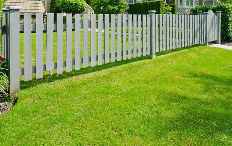 beautiful lawn and fence