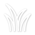 grass icon