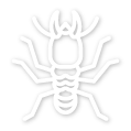 termite icon
