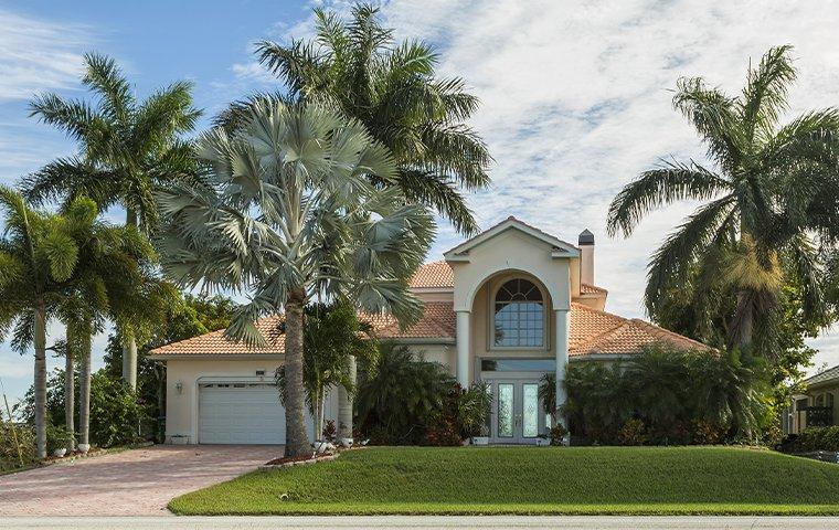 palm trees in manalapan florida yard