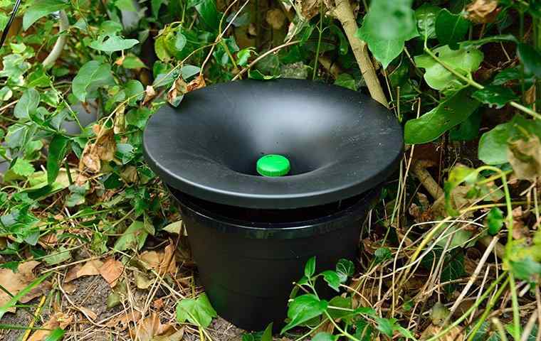 an in2care mosquito trap