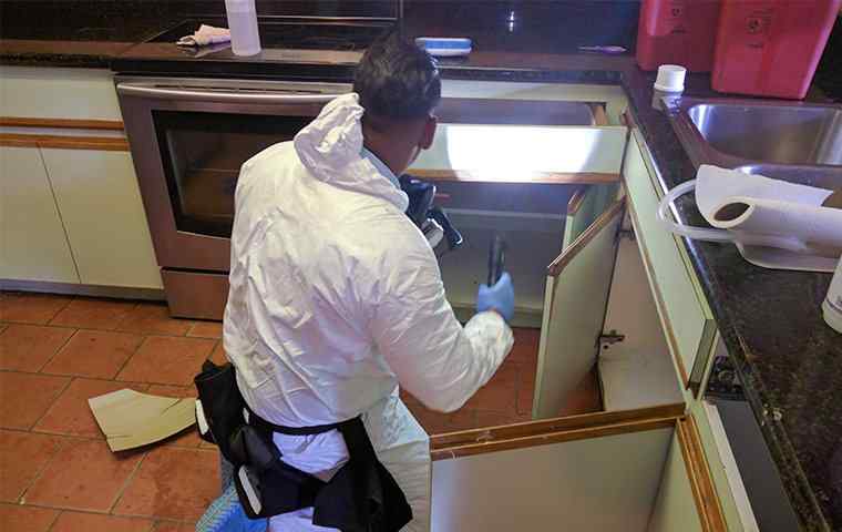 tech inspecting under kitchen cabinets