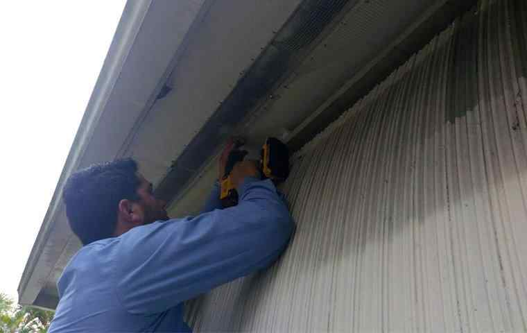 Rodent Proofing West Palm Beach