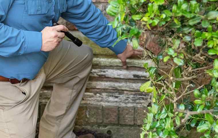 a tech inspecting around the base of a building