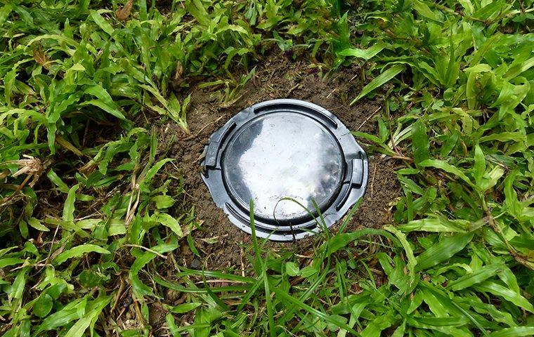 a termite bait station installed in the ground outside of a home in south bend indiana