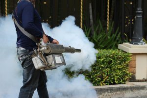 Pest Control Jensen Beach: Effective Solutions for Your Home