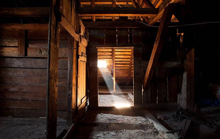 interior view of an attic in jupiter florida