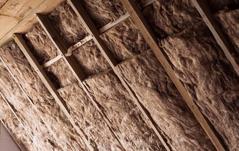 insulation in the attic of a florida home