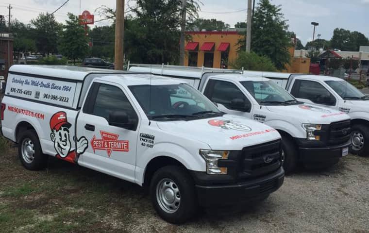 Our Pest Control Company Has Thrived Since 1964 a row of mid south pest and termite company cars parked outside in memphis tennessee