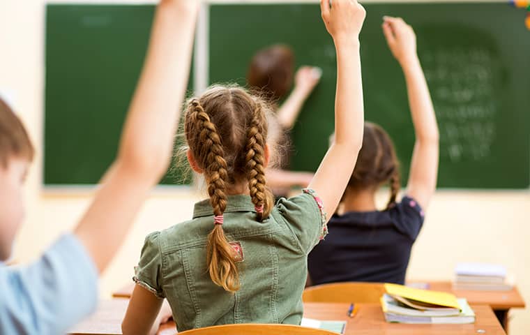 Pests Like Cockroaches Terrorize Children In Schools children inside of a classroom in atoka tennessee