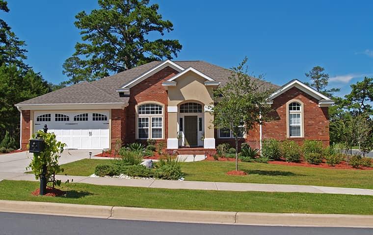 Keep Rodents Out Of Your Home With Bug Head street view of a home in richardson texas