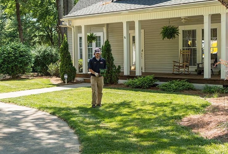 Read About Our Professional Ant Control ant treatment in greenville south carolina
