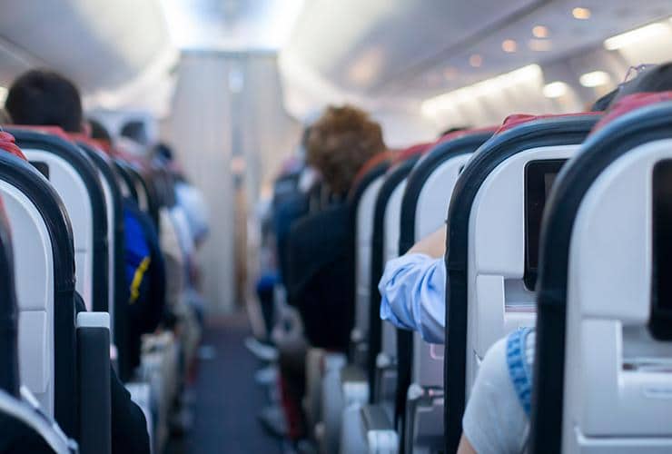 How To Avoid Bed Bugs bed bugs hitch rides on airplanes