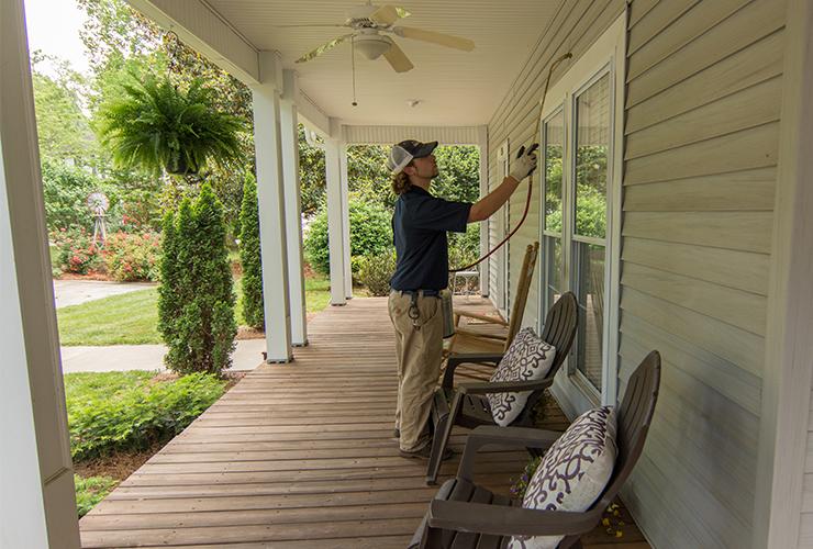 Basic Home Pest Control Service home pest control service in greenville sc