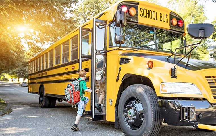 Prevent Bed Bugs From Coming Home With Your Children a child in greenville is boarding a big yellow school bus full of students un knowingly spreading bed bugs to their class mates on the first day of school