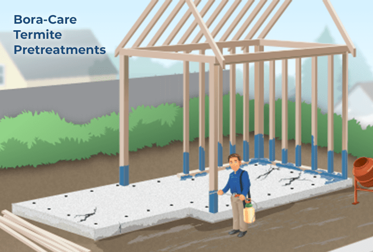 Bora-Care Termite Pre-Treatment illustration of bora-care termite pre-treatment