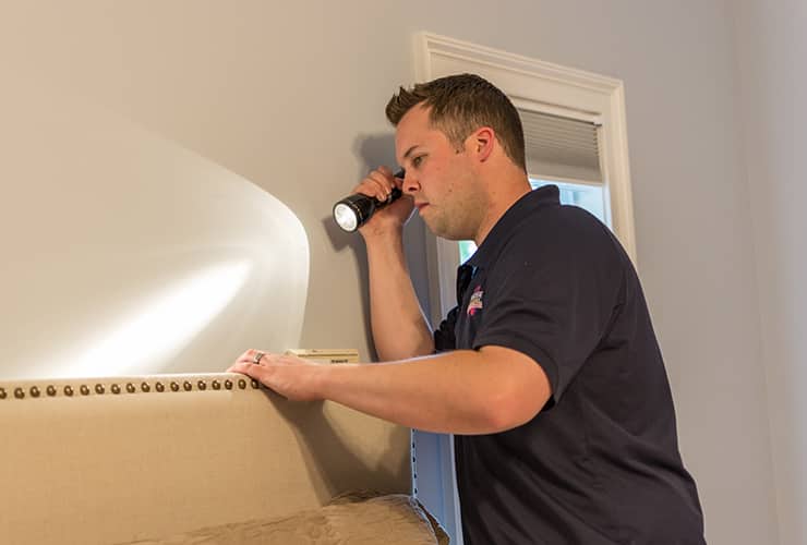 Professional Bed Bug Inspections spencer service professional inspecting for bed bugs in greenville home