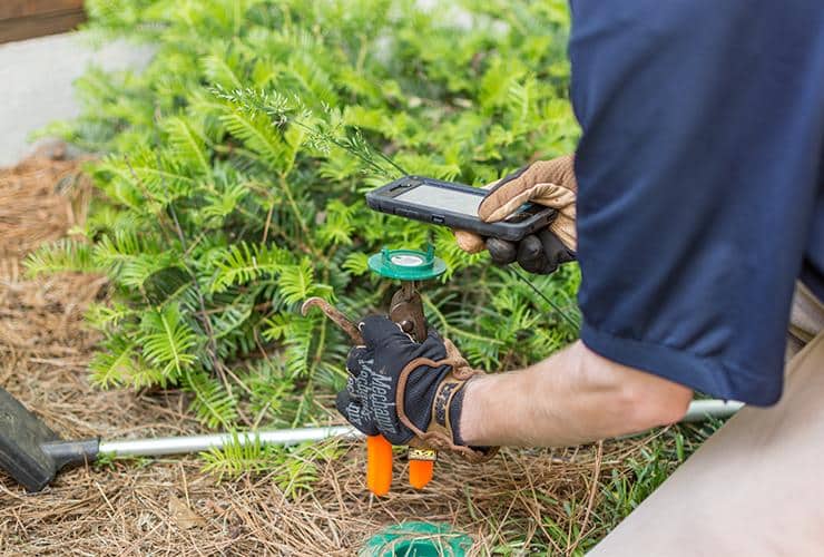 Professional Termite Control Is Essential greenville termite control expert checking termite bait station