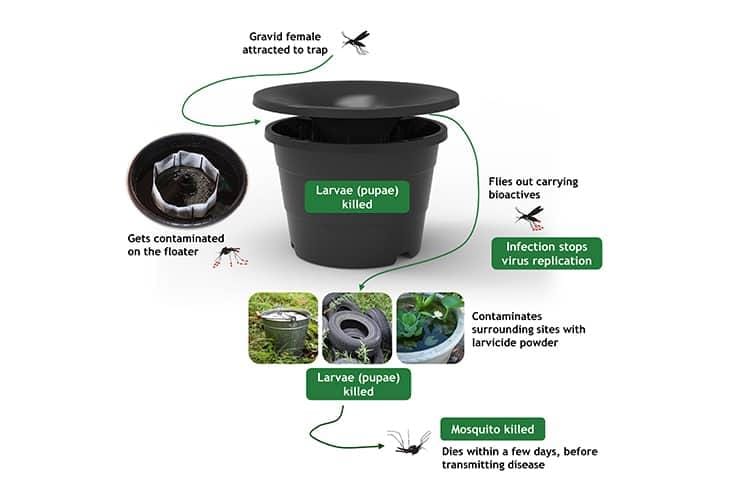 Ask Spencer Pest About Mosquito Control Today! image showing how a mosquito trap works