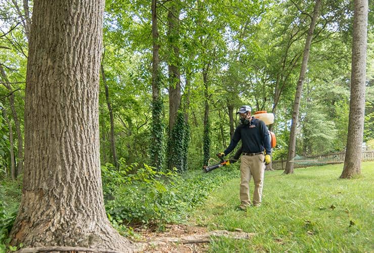 Call Spencer Pest Today For Outdoor Pest Control! Technician treating woods for pest