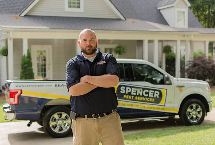 Pest Control Expert Serving Seneca SC seneca sc pest control professional
