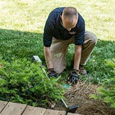 Professional Installation Of The Sentricon System greenville pest control technician installing sentricon station