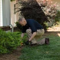 Termite Control Starts With A Thorough Inspection service professional inspecting for termite activity