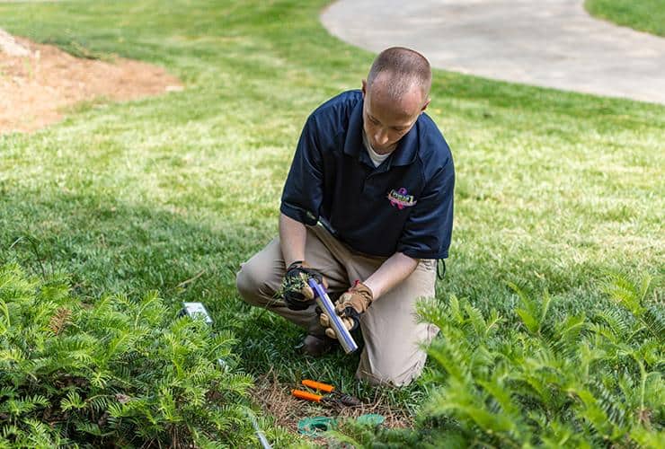 Termite Protection Featuring The Sentricon System greenville pest control tech checking termite bait station