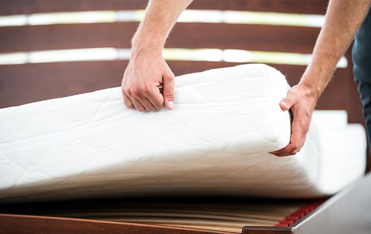 a technician performing a bed bug inspection in texarkana texas