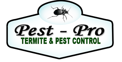 Pest Control Colchester