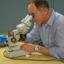 entomologist studying insect