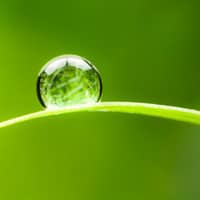 water droplet on grass