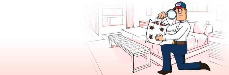 bed bug control illustration