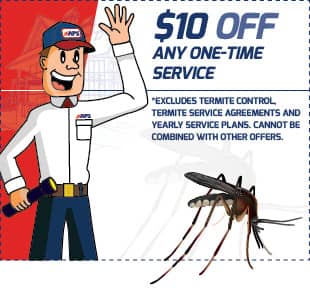 save $10 on pest control services