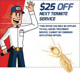 save on termite control services in ma and ct