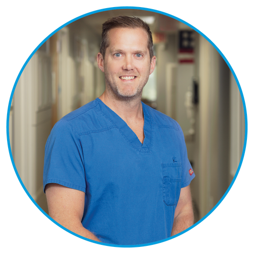 Meet our Dentist, John M. Willis, DDS